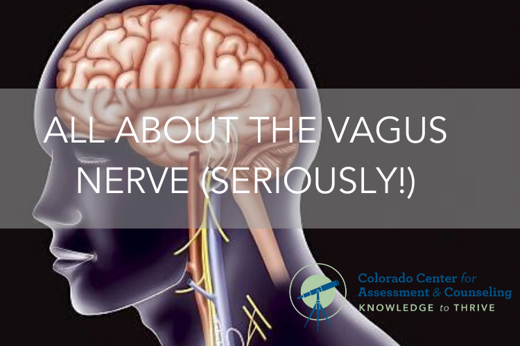 Vagus Nerve